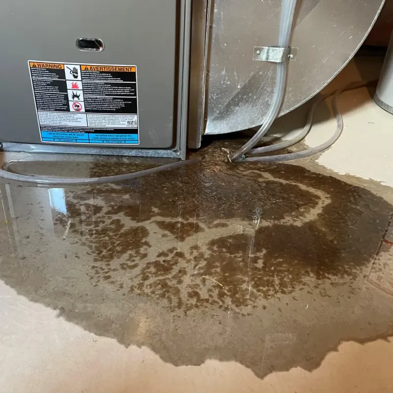 Appliance Leak Cleanup in Pottsville, AR
