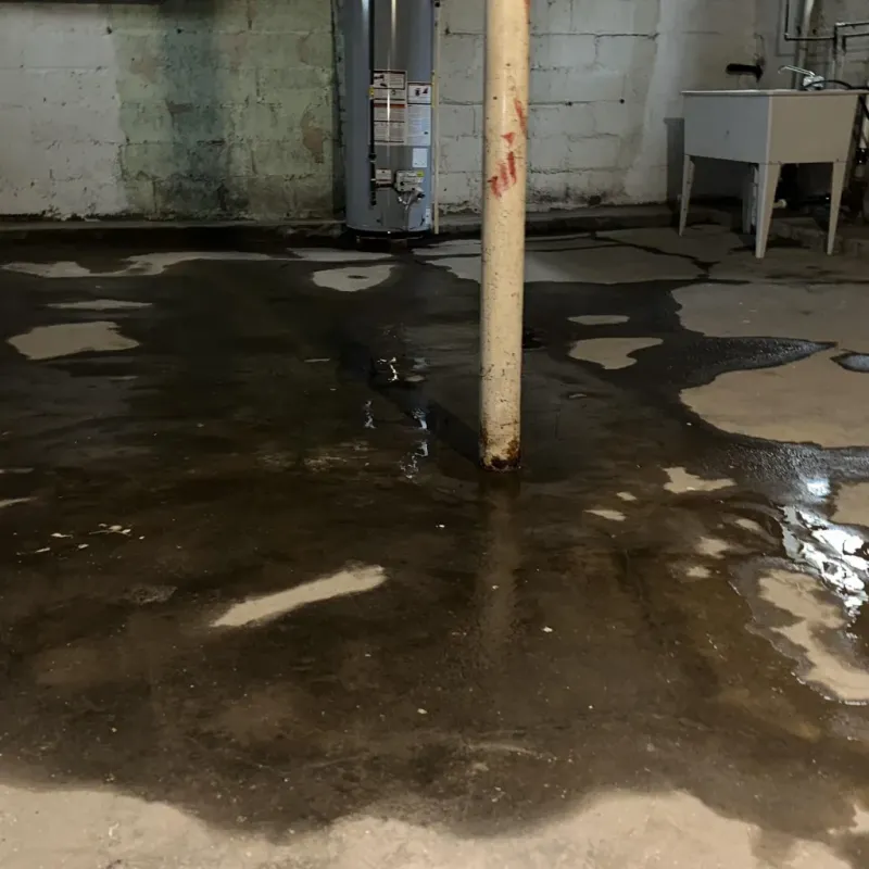 Emergency Water Extraction And Removal in Pottsville, AR